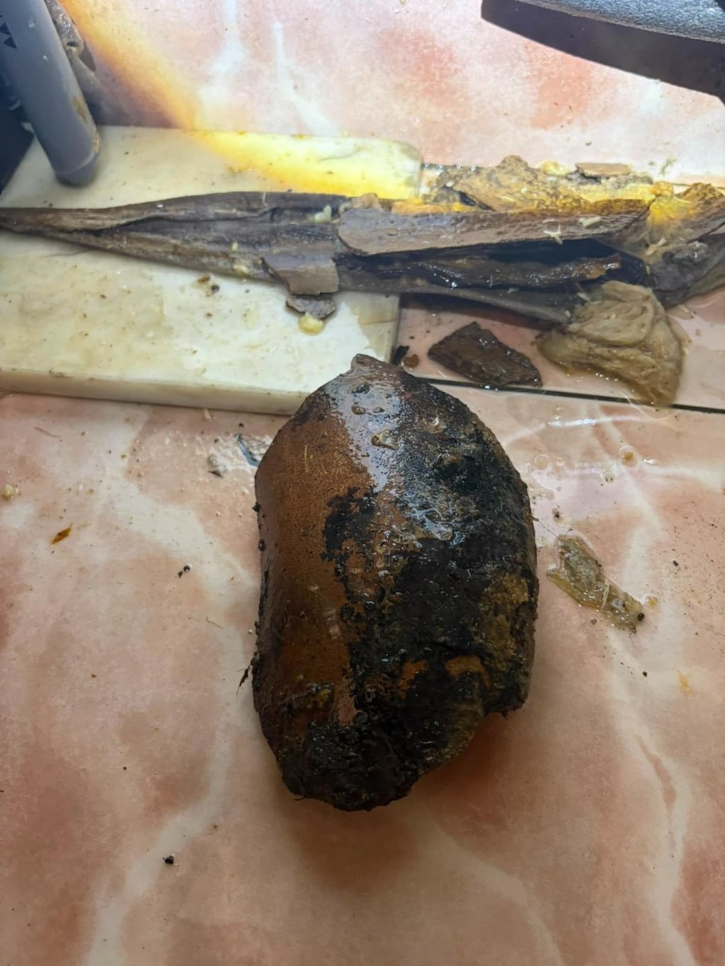 Bouchon massif extrait d’une canalisation par Nero Canalis sur planche à découper, intervention à Saint-Jean-Molenbeek